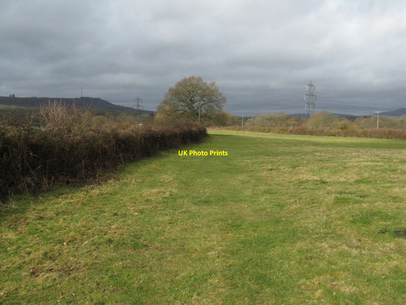 Photo 6"x4" Footpath to Lodge Farm White's Green c2010