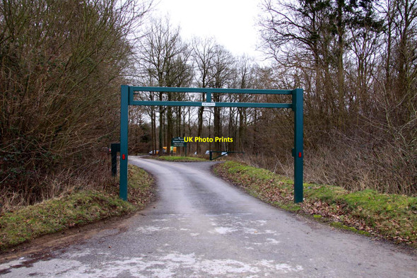 Photo 6"x4" The entrance to Bernwood Forest Horton-cum-Studley c2010