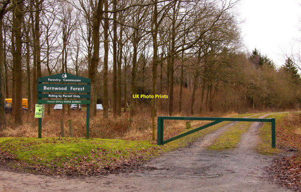 Photo 6"x4" Bernwood Forest Horton-cum-Studley c2010