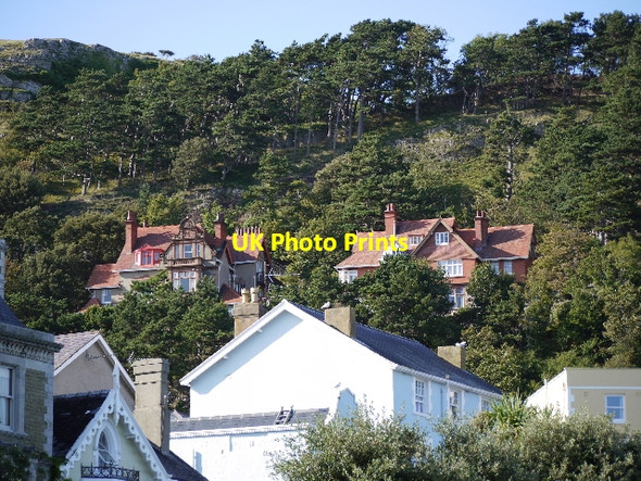 Photo 6"x4" On the Orme Llandudno c2009