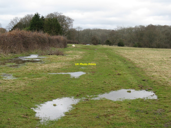 Photo 6"x4" Water logged field at River Park Farm White's Green c2010