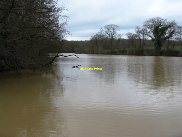 Photo 6"x4" Lake next to River Park Farm White's Green c2010