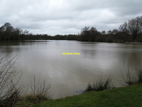 Photo 6"x4" Millpond at Mill Farm Lickfold\/SU9225 c2010