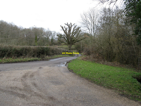 Photo 6"x4" Track from Mill Farm joining the road to Lurgashall White's Green c2010
