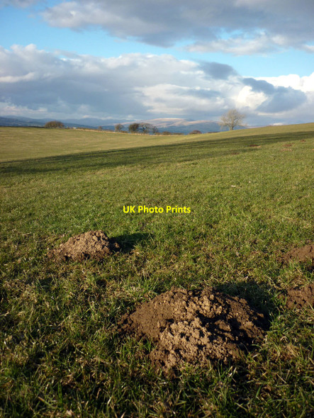 Photo 6"x4" Drumlin country near Melling Melling\/SD5971 c2010