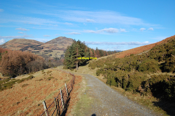 Photo 6"x4" Footpath into Mosedale Loweswater\/NY1420 c2010