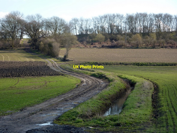 Photo 6"x4" Track to Titley Hill Barking\/TM0753 c2010