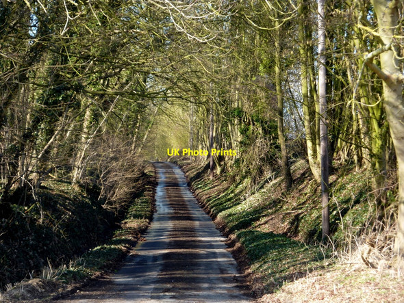 Photo 6"x4" Lane to Barking Church Barking\/TM0753 c2010