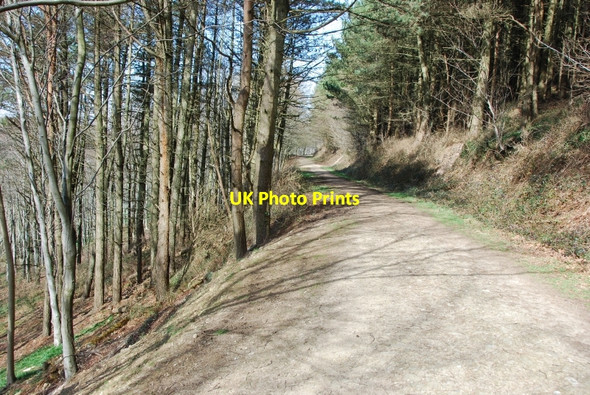 Photo 6"x4" Langdon Hill Chideock c2007