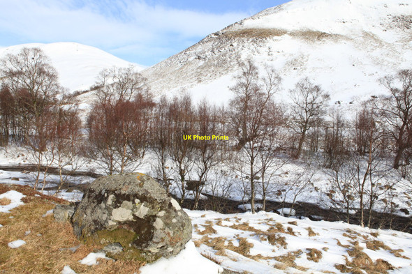 Photo 6"x4" Woodland below Ben Gulabin Spittal of Glenshee c2010