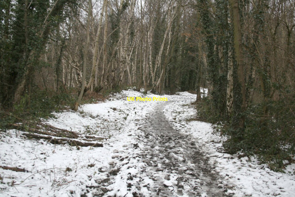 Photo 6"x4" The Unstone Line Dronfield c2010