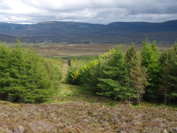 Photo 6"x4" Firebreak, Meall Dubh Ruigh an Fhraoich Dalwhinnie c2009