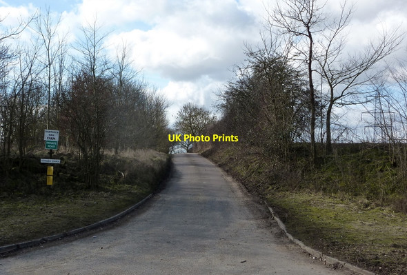 Photo 6"x4" Start of the lane to Darmsden Darmsden c2010