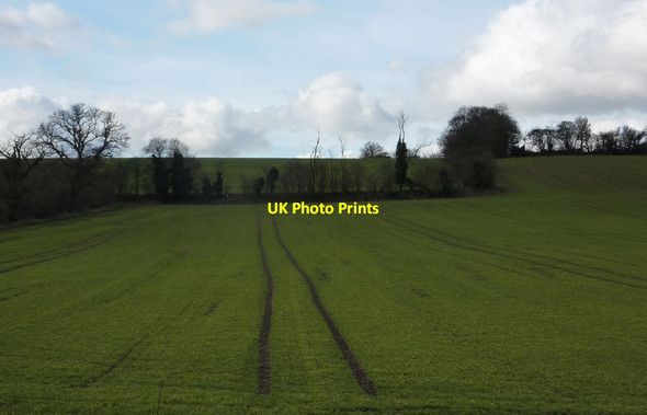 Photo 6"x4" Field rising gently west of the B1113 Baylham c2010