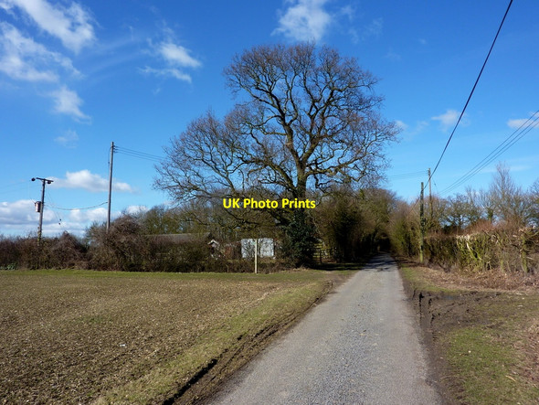 Photo 6"x4" Lane towards Offton Somersham\/TM0848 c2010