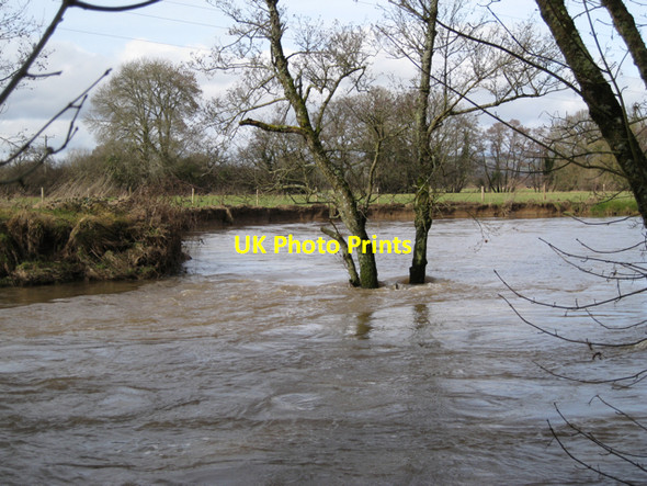 Photo 6"x4" The dynamic River Teign Newton Abbot c2010