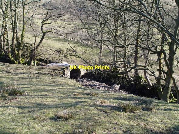 Photo 6"x4" Small Bridge At Dinkling Green Fair Oak\/SD6446 c2010