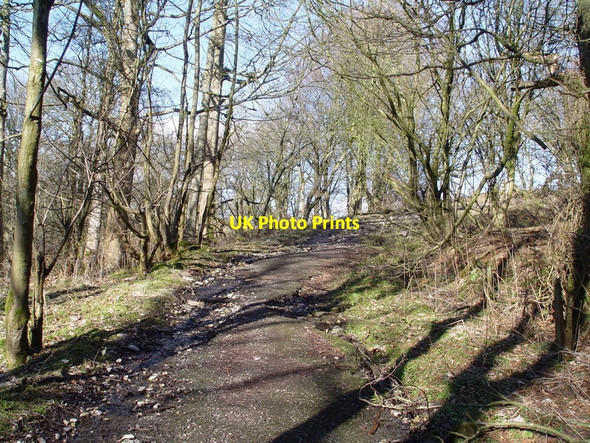 Photo 6"x4" Old Road To Greystonely Fair Oak\/SD6446 c2010