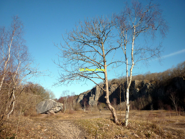 Photo 6"x4" Trowbarrow Quarry Nature Reserve Red Bridge c2010