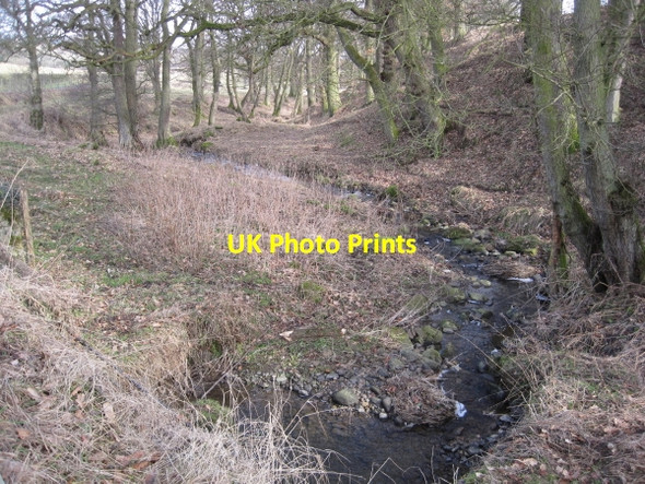 Photo 6"x4" Unnamed Burn near Dotland Park Diptonmill c2010