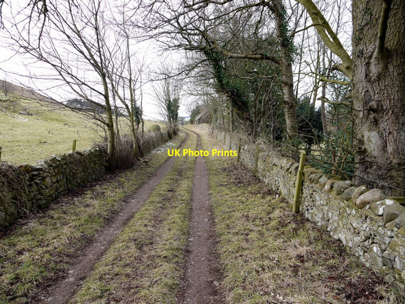 Photo 6"x4" Track south of Kirknewton Kirknewton\/NT9130 c2010