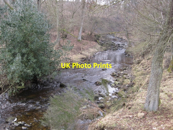 Photo 6"x4" Ham Burn near Whitley Mill Dalton\/NY9158 c2010