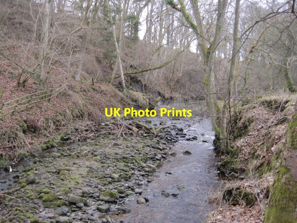 Photo 6"x4" The Ham Burn near Whitley Mill Dalton\/NY9158 c2010