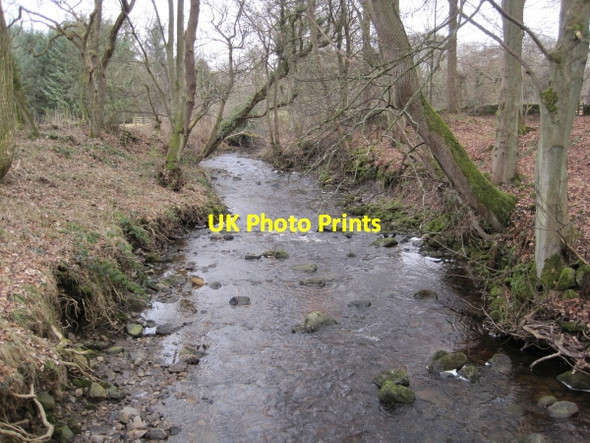Photo 6"x4" The Ham Burn near Whitley Mill Dalton\/NY9158 c2010 P1
