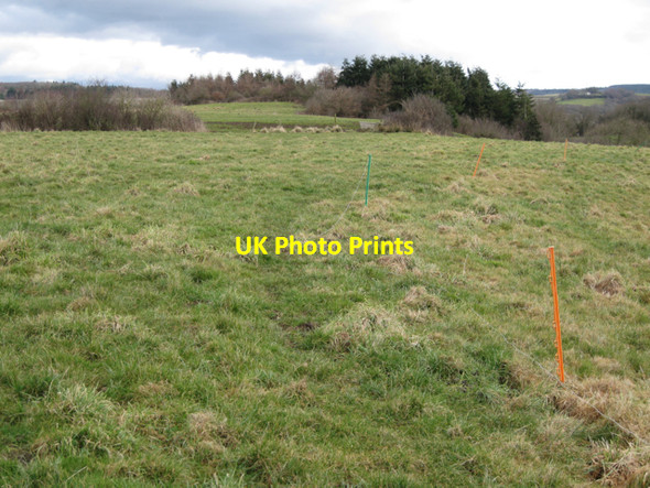 Photo 6"x4" On Binney Tip Preston\/SX8574 c2010