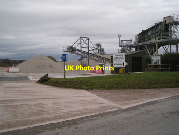 Photo 6"x4" Preston Manor Sand Plant Preston\/SX8574 c2010