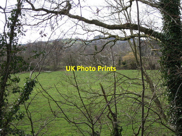 Photo 6"x4" Flood-meadow southwest of Preston Preston\/SX8574 c2010