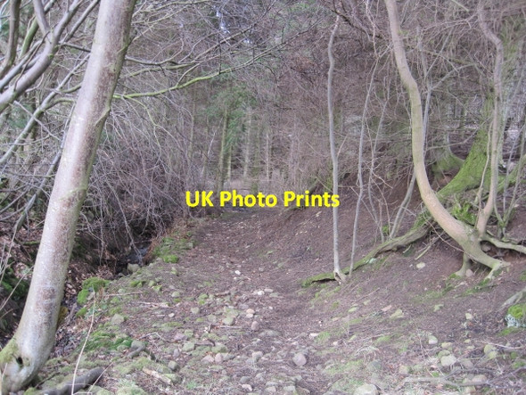 Photo 6"x4" Footpath towards Dye House Dye House c2010