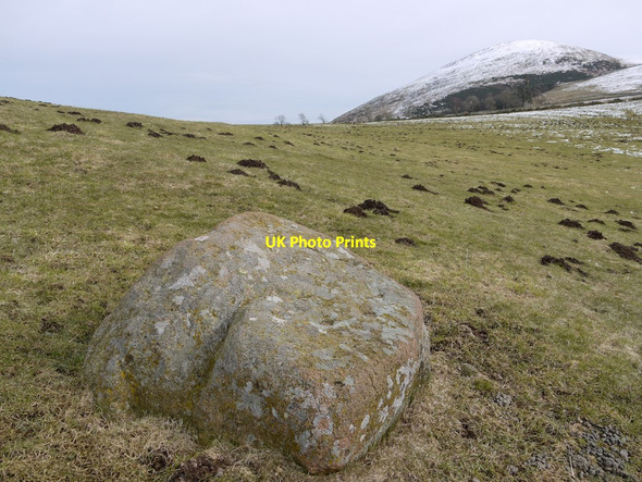 Photo 6"x4" Cup-marked granite boulder south-east of West Hill Kirknewton\/NT9130 c2010