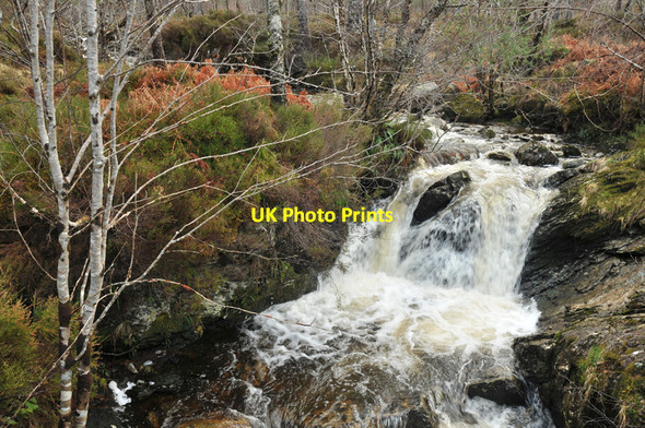 Photo 6"x4" Allt Innes nan Gucag Coulin Lodge c2010