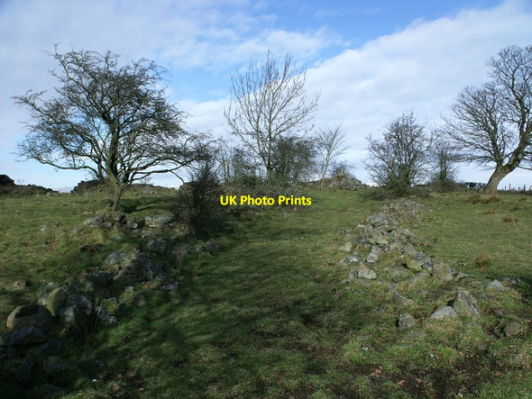Photo 6"x4" Track to Wester Blairlinn Cumbernauld c2010