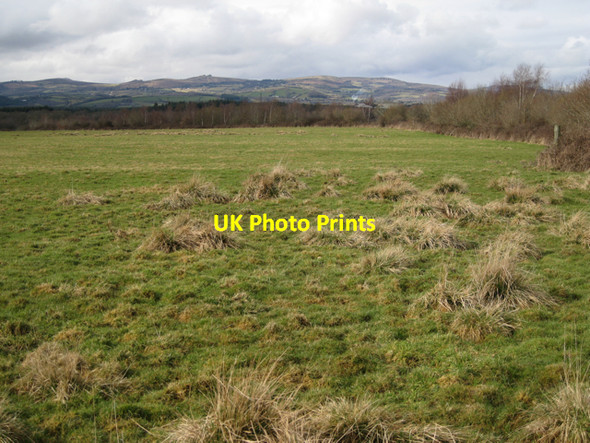 Photo 6"x4" The surface of Binney Tip Preston\/SX8574 c2010