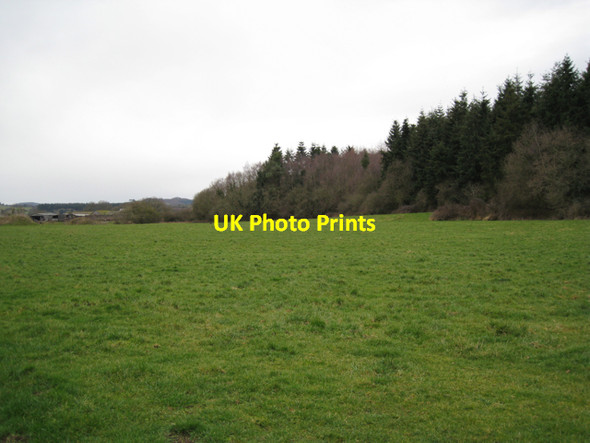 Photo 6"x4" Tree screen, southeast slopes of Binney Tip Preston\/SX8574 c2010
