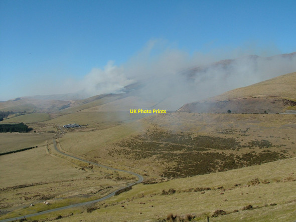 Photo 6"x4" Bracken burning South of Plynlimon Llys Arthur c2010