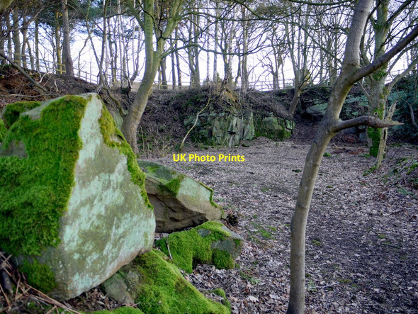 Photo 6"x4" Old quarry, Heddon on the Wall Houghton\/NZ1266 c2010
