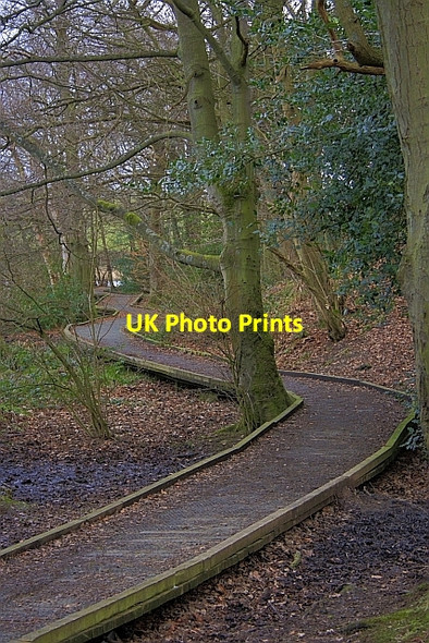 Photo 6"x4" Boardwalk Around Throxenby Mere Throxenby c2010