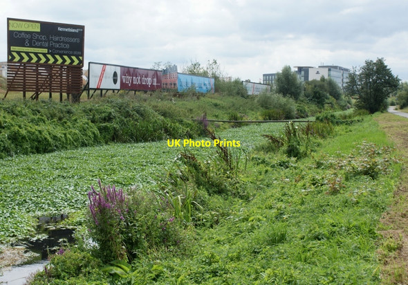 Photo 6"x4" A carpet of floating pennywort in Foudry Brook Whitley\/SU7170 c2009