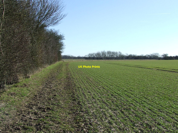Photo 6"x4" Green Fields Saxtead Little Green c2010