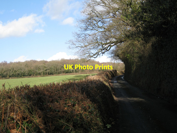 Photo 6"x4" Lane to Gappah near Heathfield Farm Chudleigh Knighton c2010