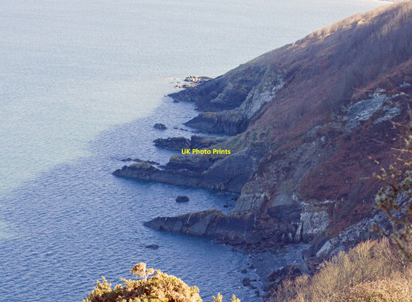 Photo 6"x4" Pwll Melyn, St Dogmaels Penrhyn Castle\/SN1449 c2010