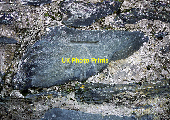 Photo 6"x4" Bench Mark, Bangor Bangor\/J5081 c2010