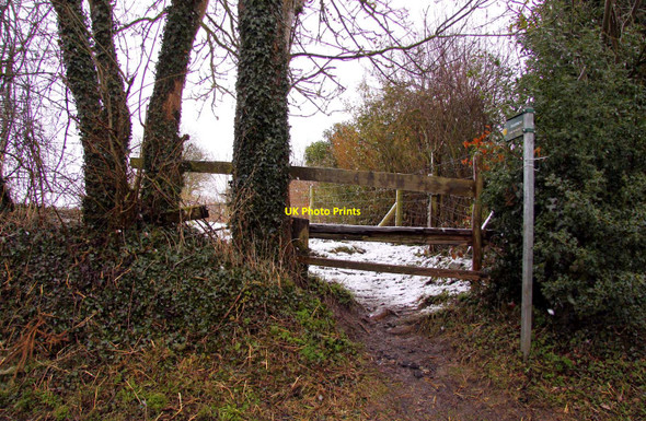 Photo 6"x4" Footpath to East Hendred West Hendred c2010