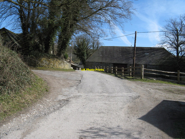 Photo 6"x4" Track to Saddlescombe Farm Saddlescombe c2010