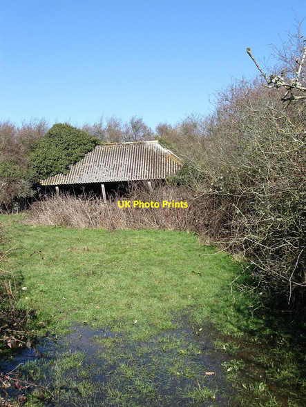 Photo 6"x4" Disused Barn near Barnhorne Manor Cooden c2010