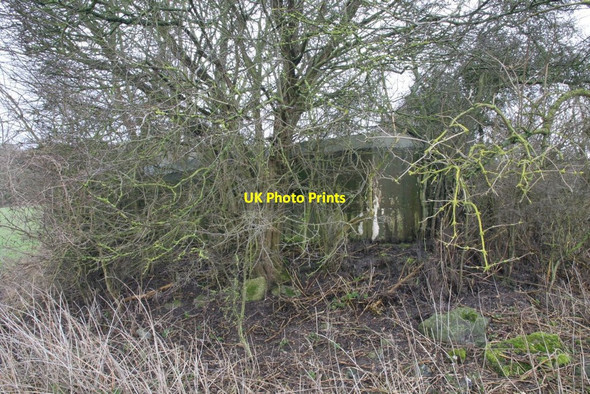 Photo 6"x4" Loopholes behind the tree Malpas\/SU6372 c2010