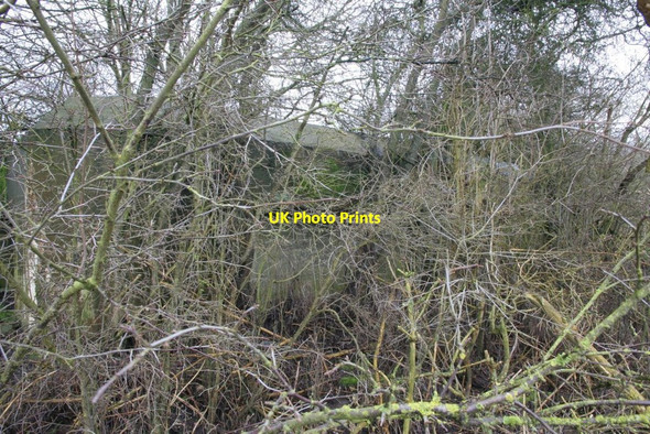 Photo 6"x4" Pillbox in the shrubbery Malpas\/SU6372 c2010